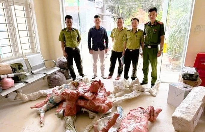 Số phôi cây muội hồng không rõ nguồn gốc vừa được lực lượng chức năng phát hiện, thu giữ.
