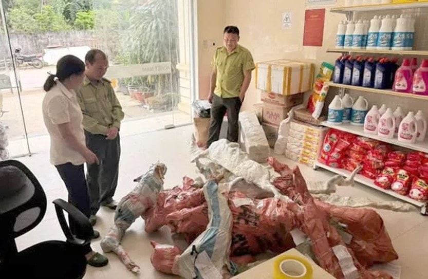 Lực lượng chức năng phát hiện, tạm giữ phôi cây Muội hồng được ký gửi tại Bưu điện xã để xác minh làm rõ.