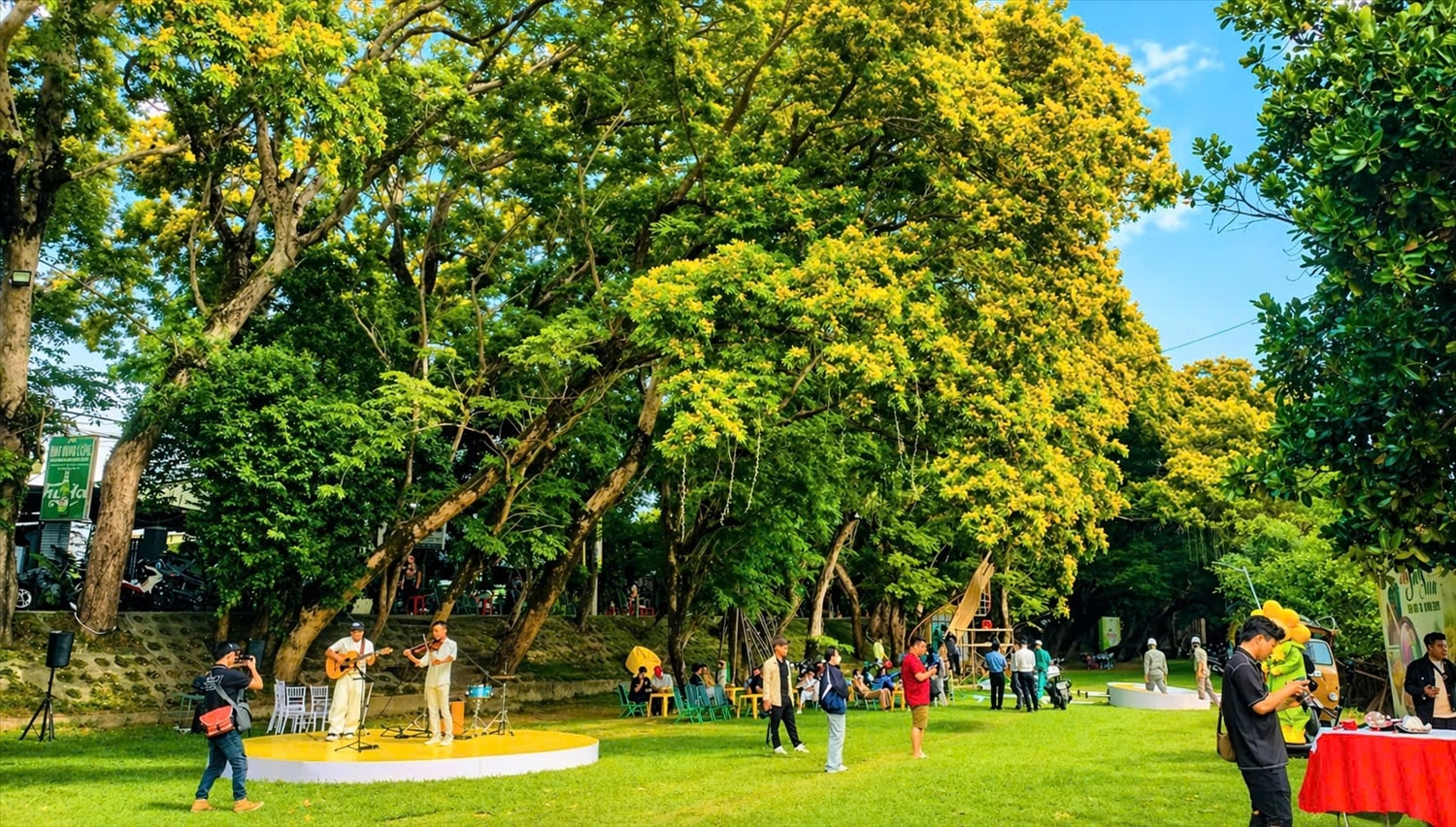 Mùa hoa thu hút nhiều người đến checkin, chụp ảnh kỷ niệm. (Ảnh NT)