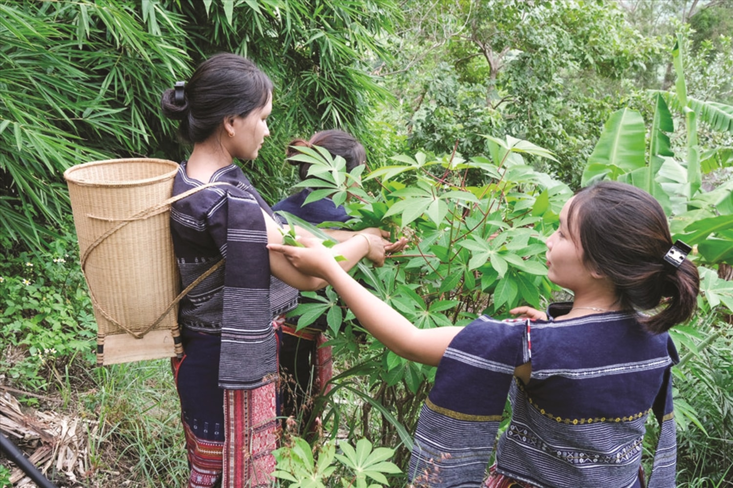 Thế hệ trẻ làng Stơr tận dụng văn hóa truyền thống để phát triển du lịch