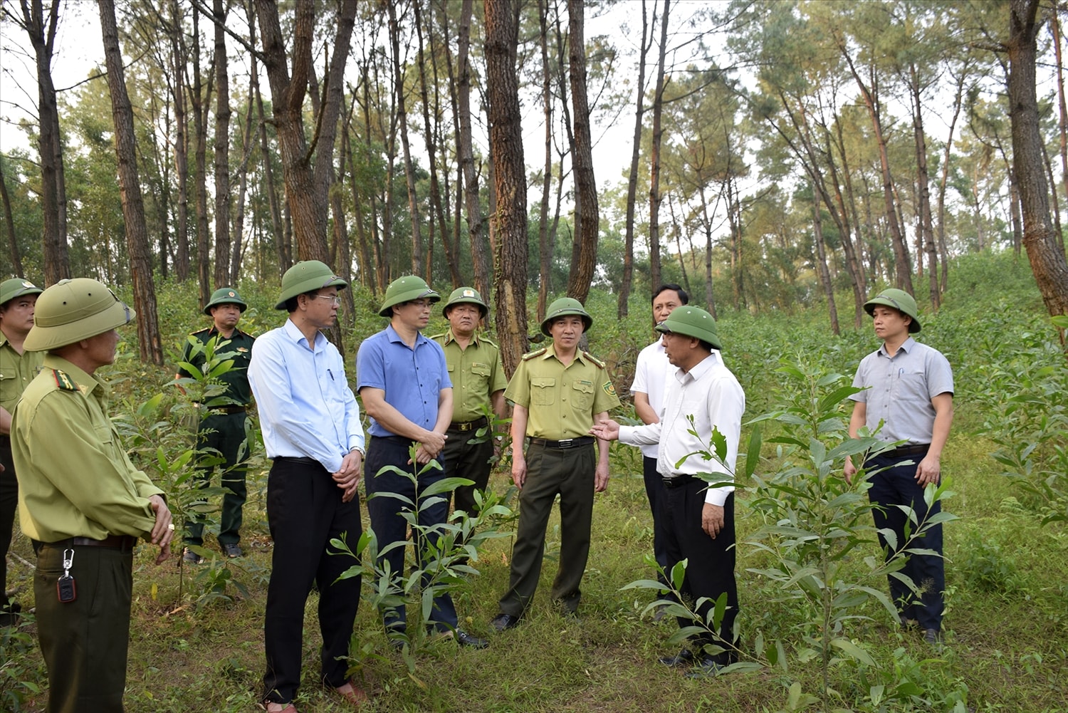 Phó Chủ tịch UBND tỉnh Nguyễn Văn Đệ (thứ 2 bìa phải) kiểm tra công tác bảo vệ và phát triển rừng tại xã Bình Minh - Ảnh: T.H