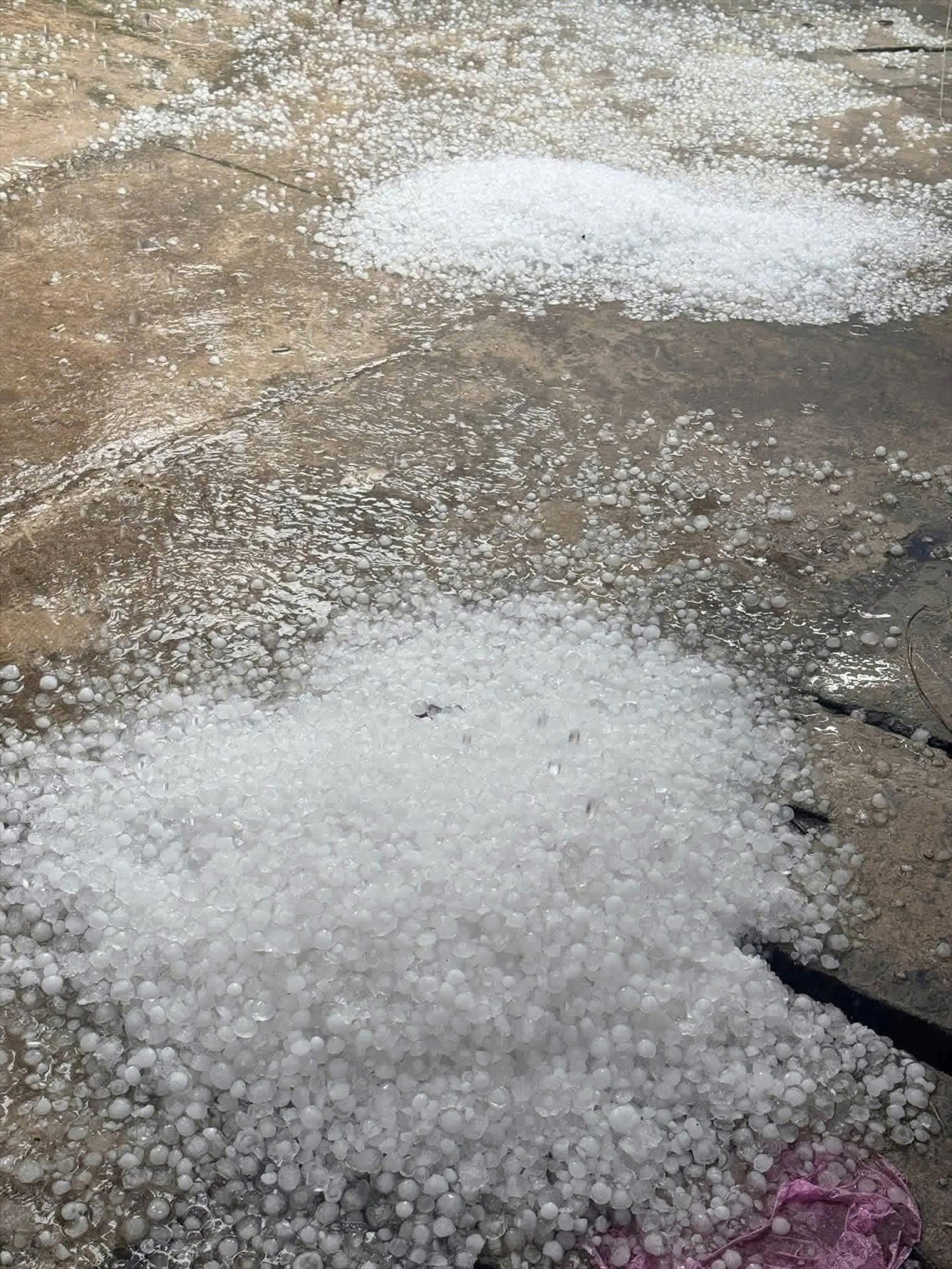 Những hạt mưa đá tại ĐIện Biên  với kích thước phổ biến 2–4 cm