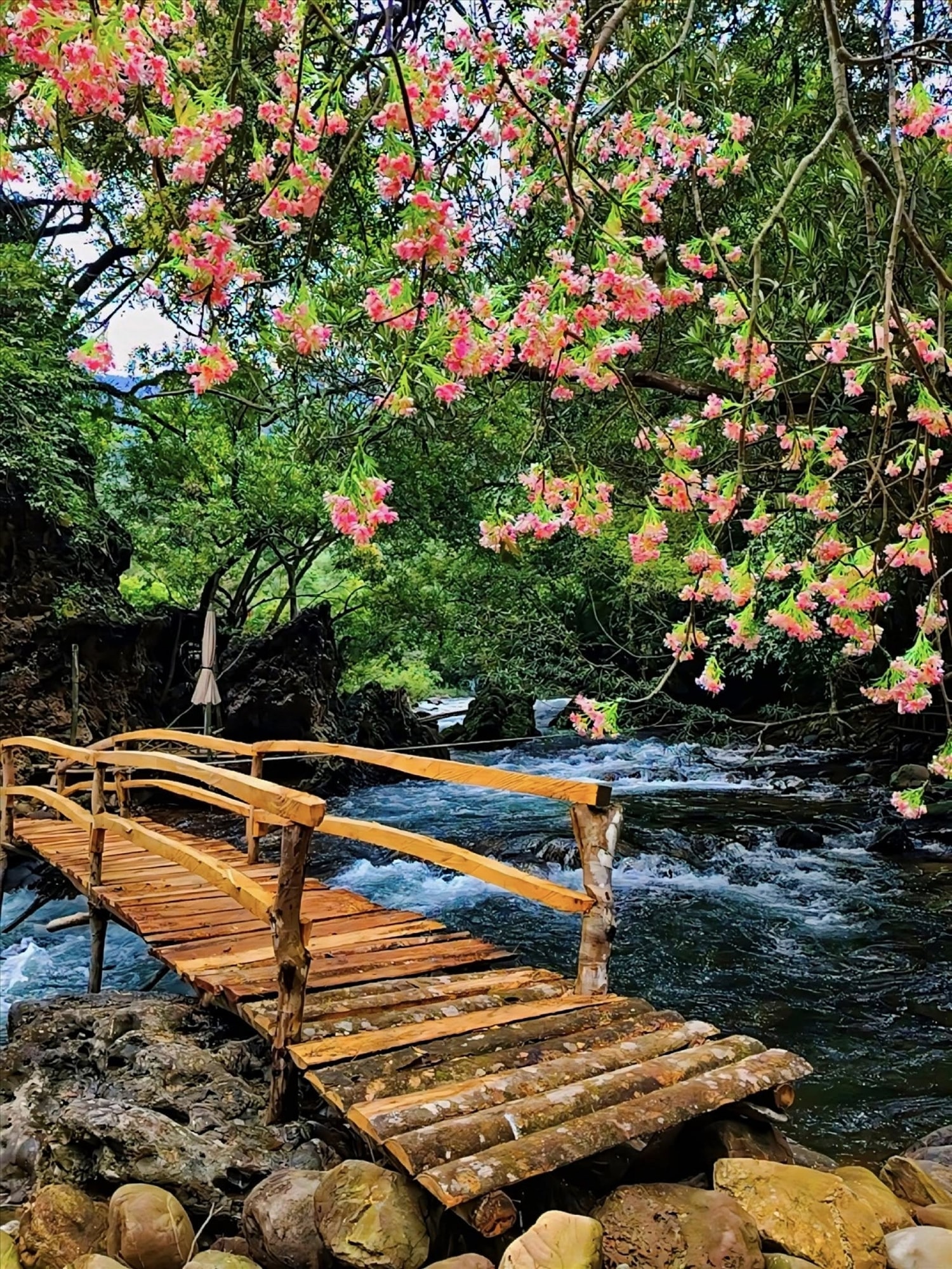Điểm du lịch suối A Lao mang đến nhiều trải nghiệm cho du khách.
