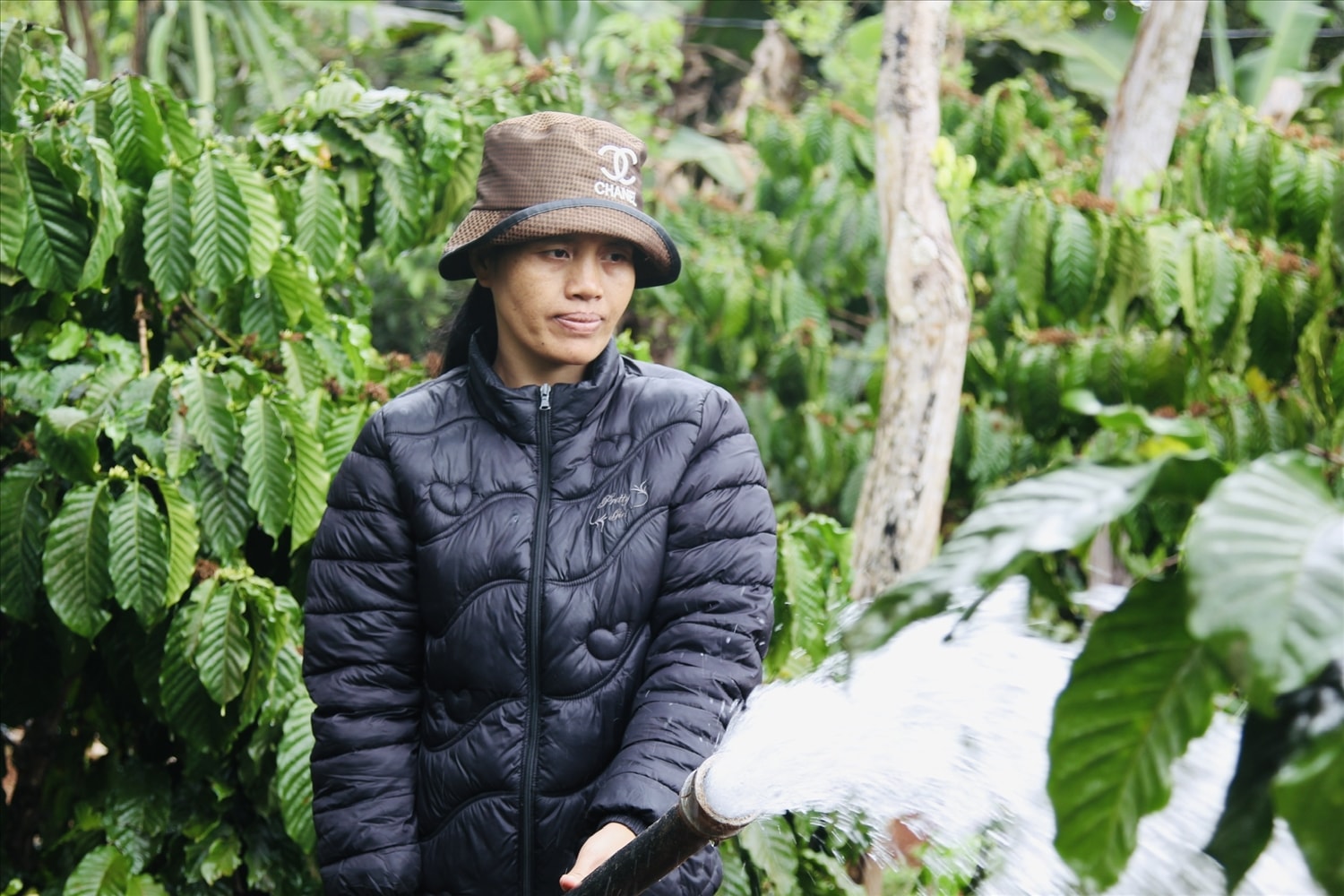 Nhờ nguồn vốn từ chương trình nước sạch và vệ sinh môi trường, người xã Cư M’ga, tỉnh Đắk Lắk đã có điều kiện đầu tư hệ thống tưới tiêu hiện đại, giúp chủ động nguồn nước cho rẫy cà phê trong mùa khô.
