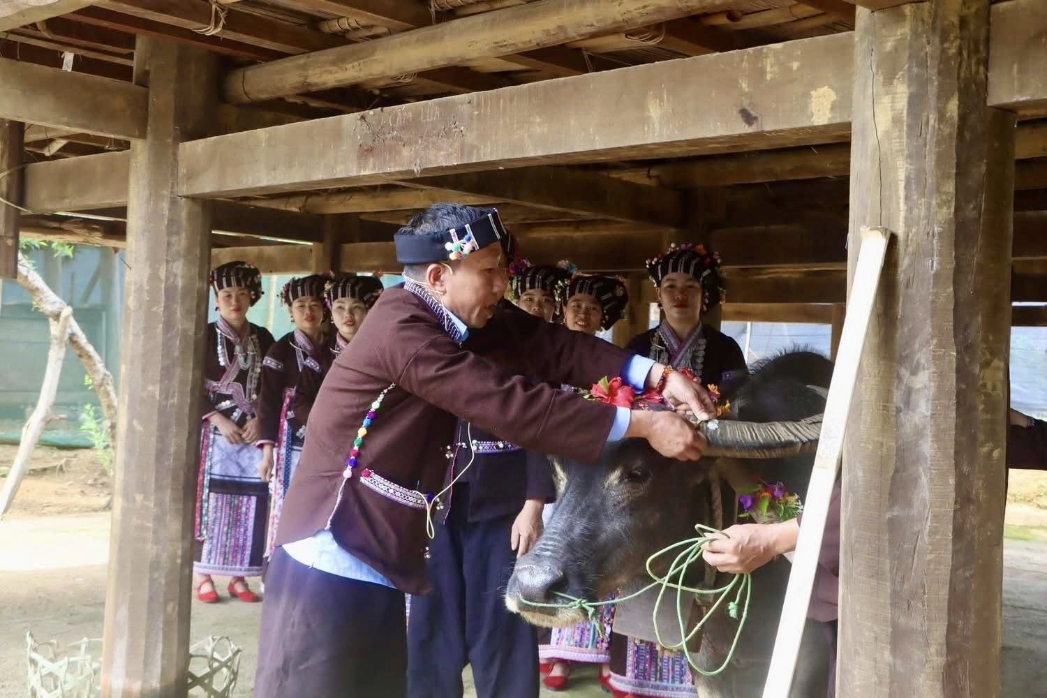 Điểm nhấn của nghi lễ là sợi chỉ buộc vào sừng trâu – biểu tượng của sự gắn kết và chở che