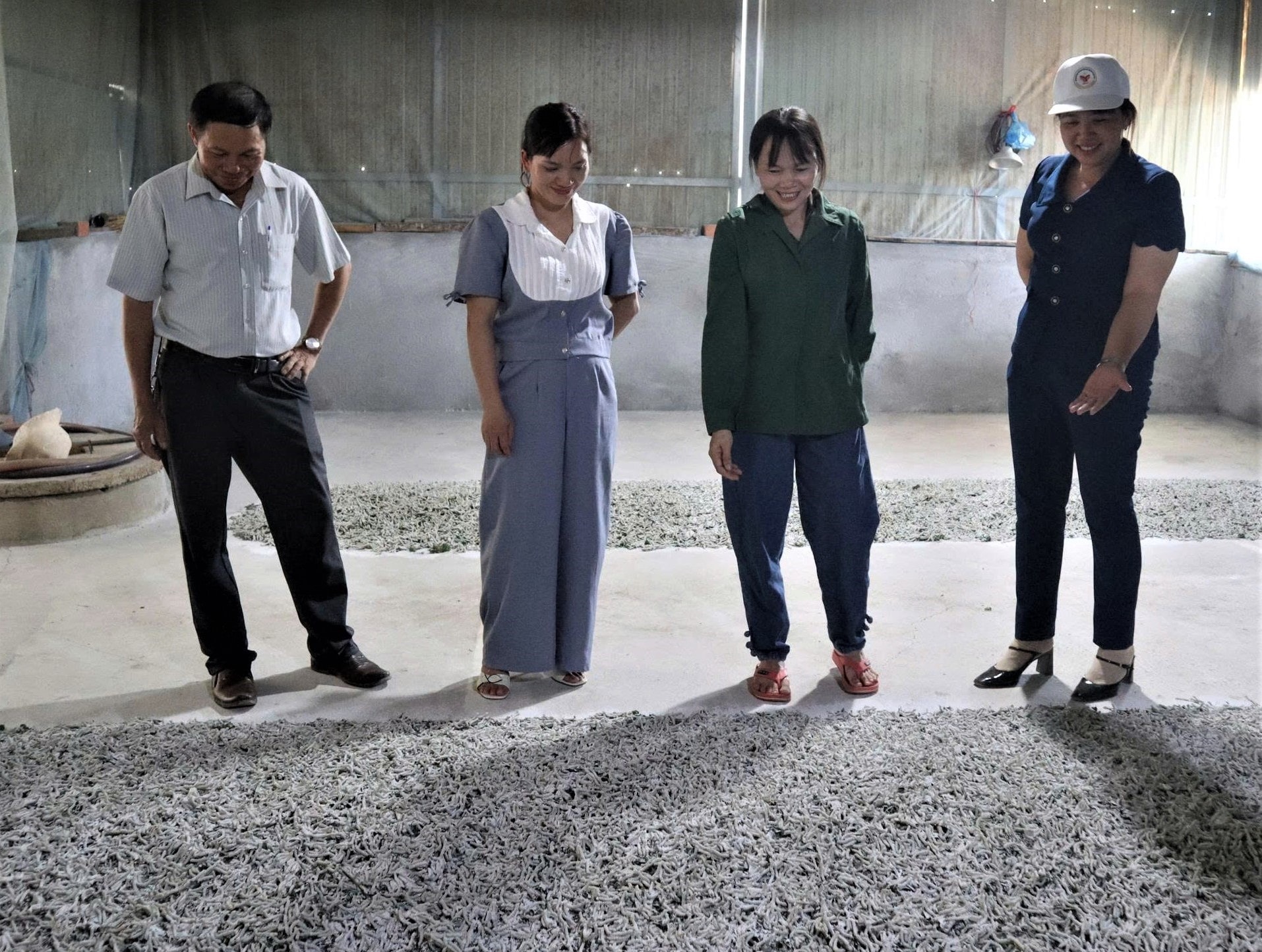 Nghề trồng dâu nuôi tằm đang giúp nhiều hộ dân vùng sâu có thu nhập khá