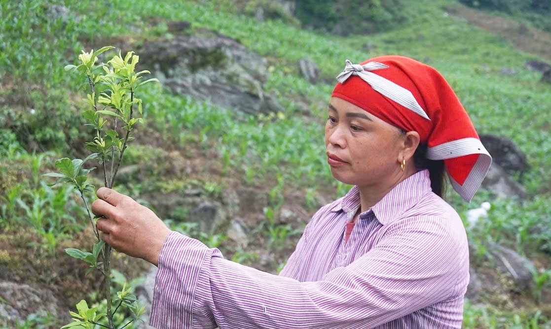 Chính sách dân tộc tạo lực đẩy để vùng cao chuyển mình 