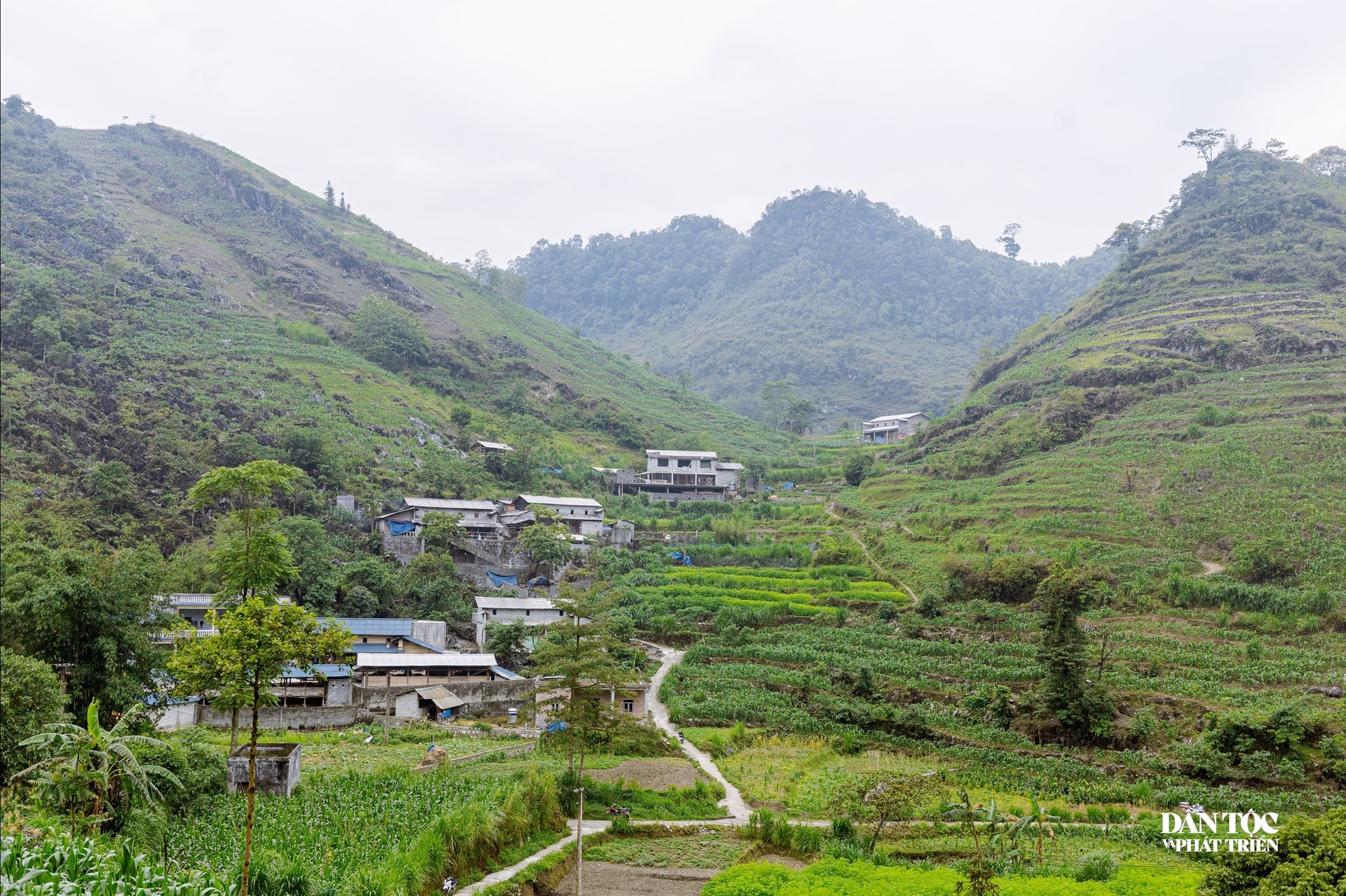 Vu Mung DTPT_13