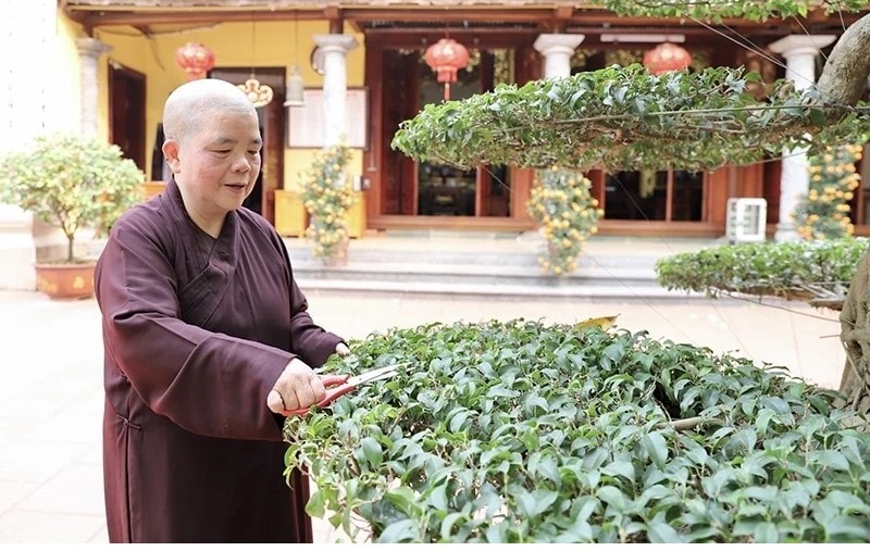 Ni trưởng Thích Đàm Hòa - người có công xay Chùa cảnh tinh tiến, gương mẫu