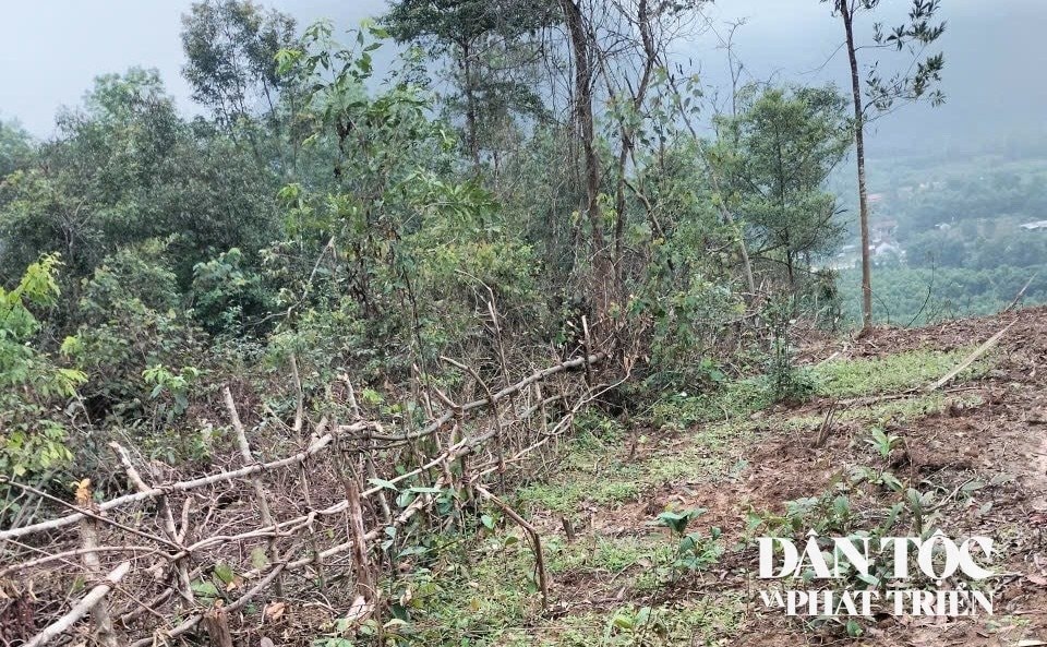 Hiện tại, dự án chống sạt lở núi ở Tổ dân phố 8, xã Minh Hóa vẫn còn gặp khó khăn về mặt bằng thi công (Ảnh: Phạm Tiến)
