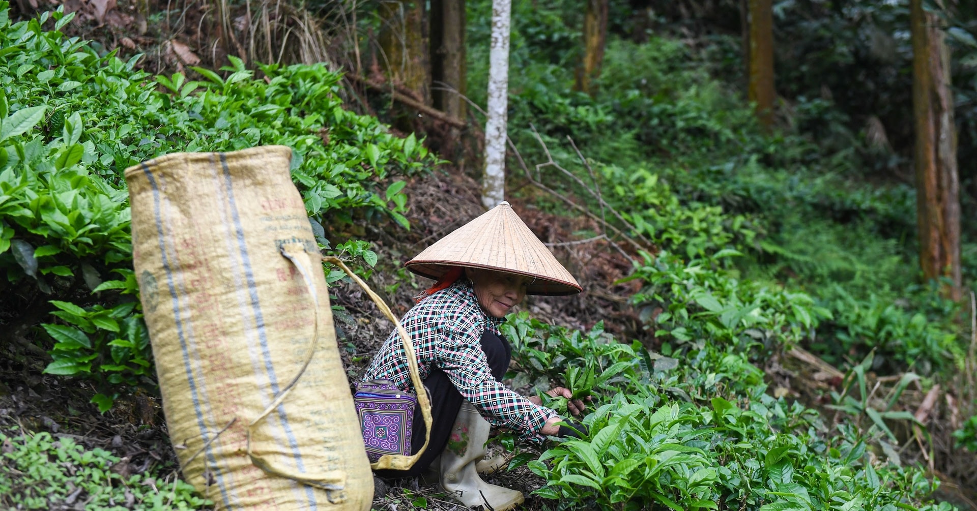 Chính sách dân tộc và phép thử tư duy từ 'hỗ trợ' sang 'kiến tạo' 