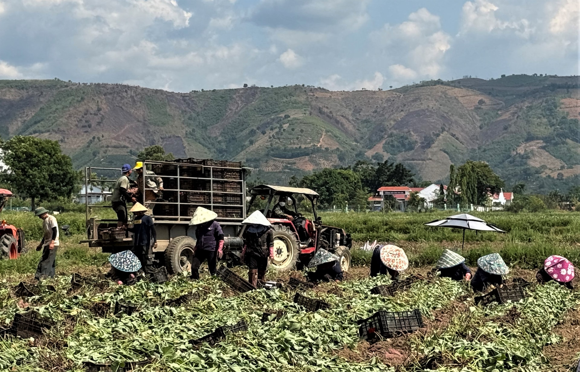 Người dân mong muốn kết nối doanh nghiệp, mở rộng thị trường tiêu thụ