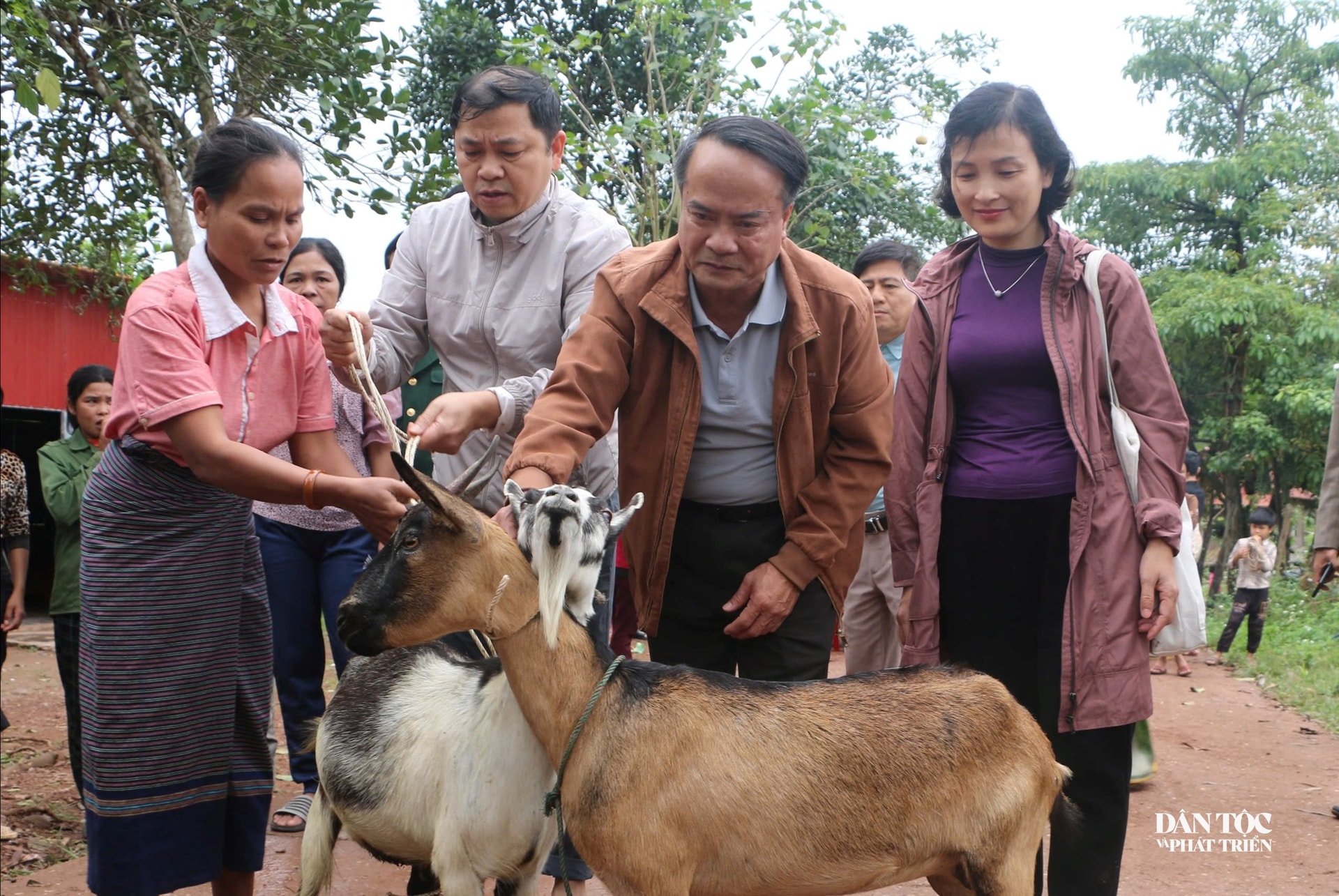 anh 3