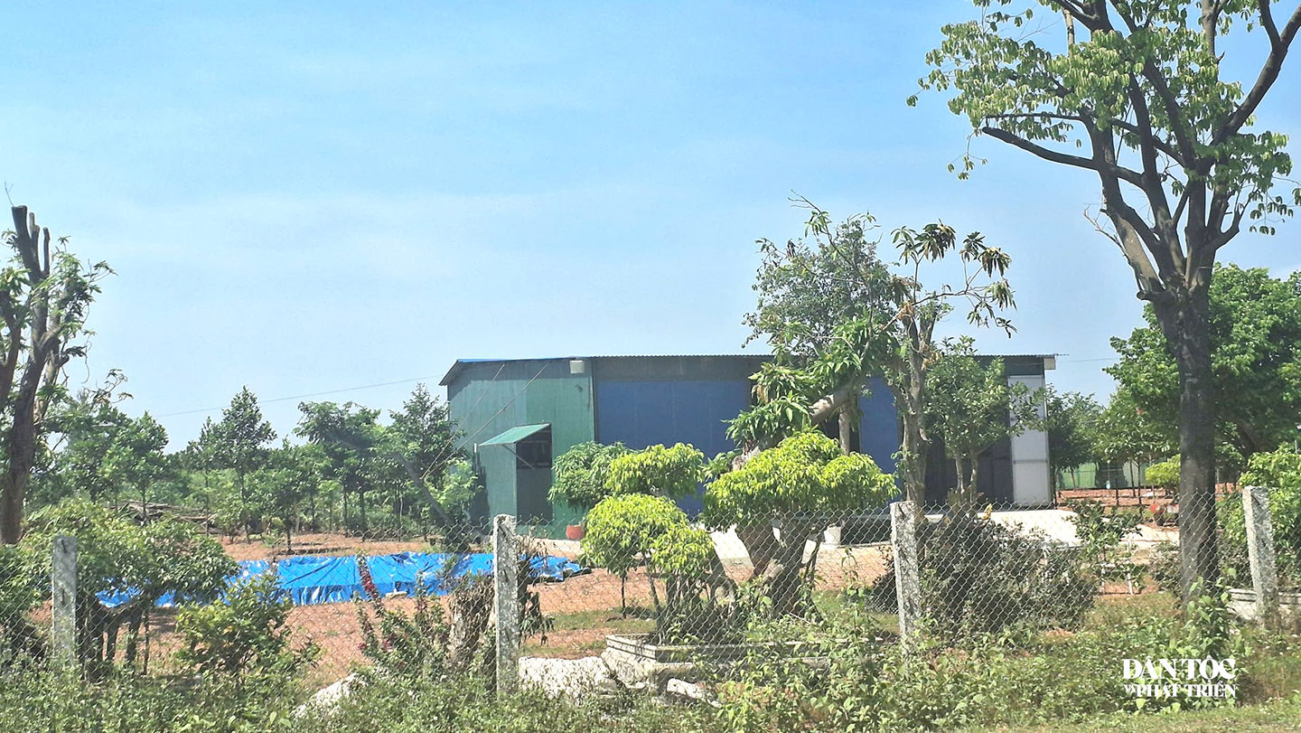 Quảng Trị: Hơn 7 ha đất rừng do Nhà nước quản lý bị chiếm dụng 