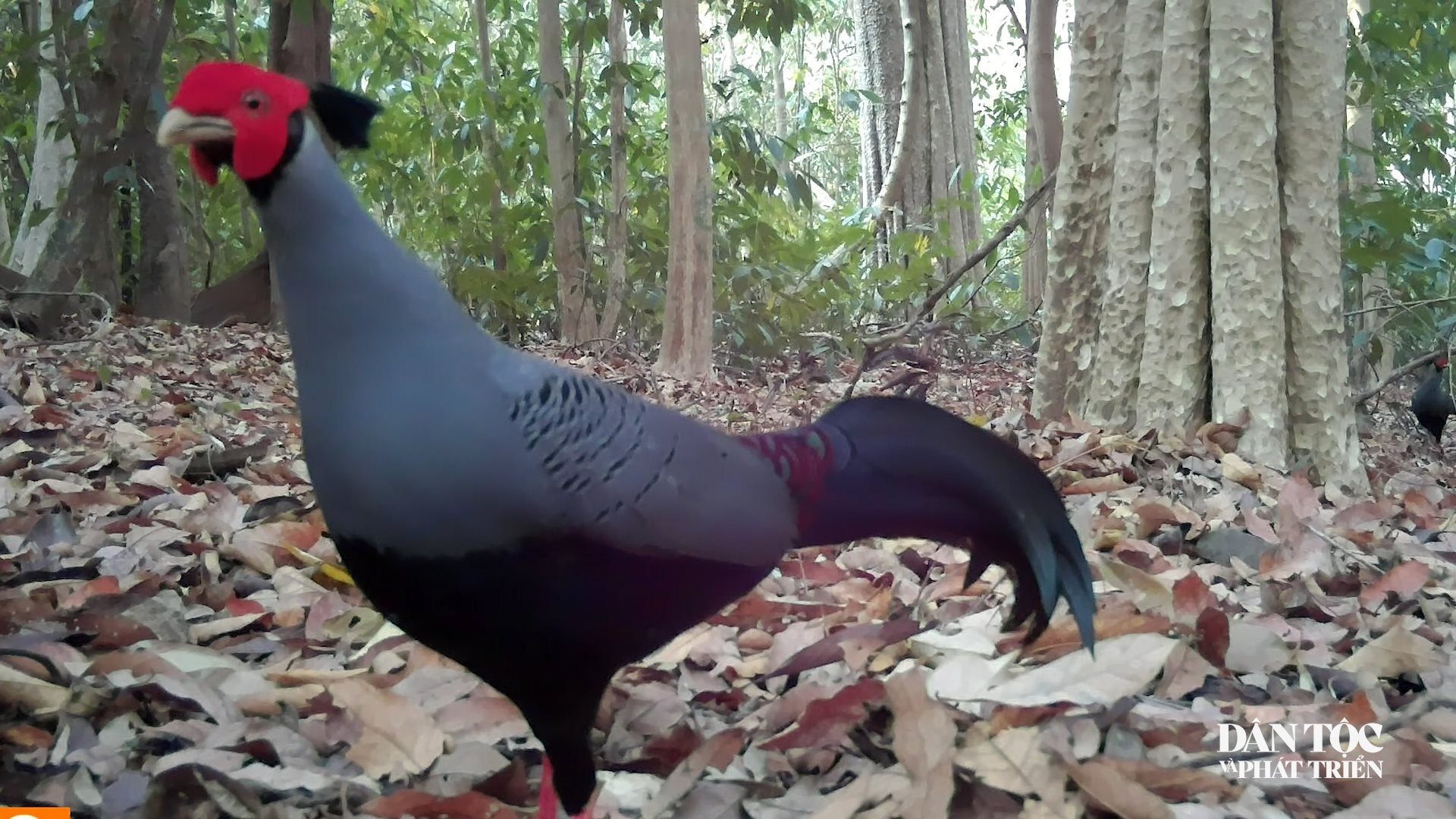 2(1)_watermarked.jpg
