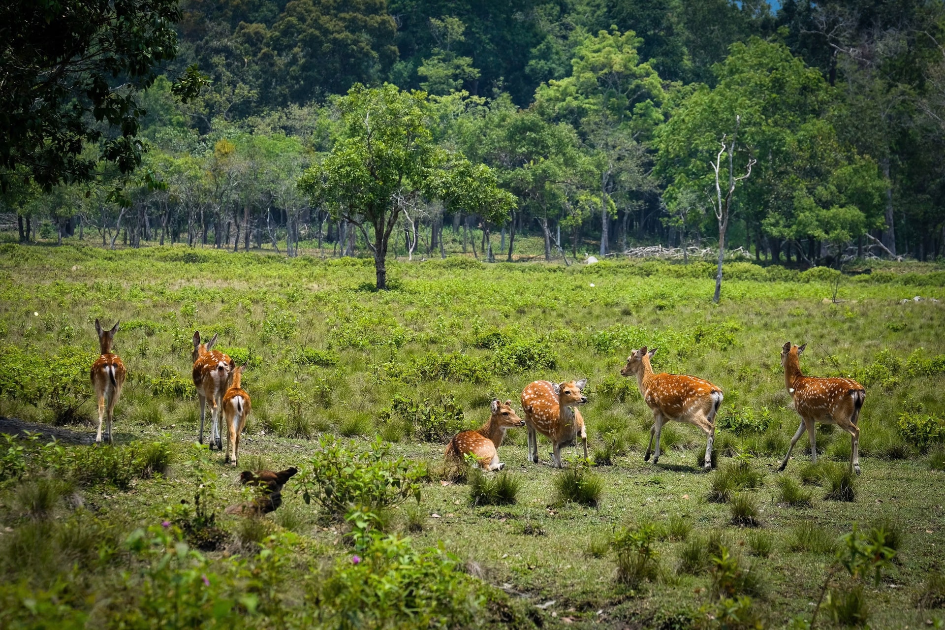 IMG_5940 2