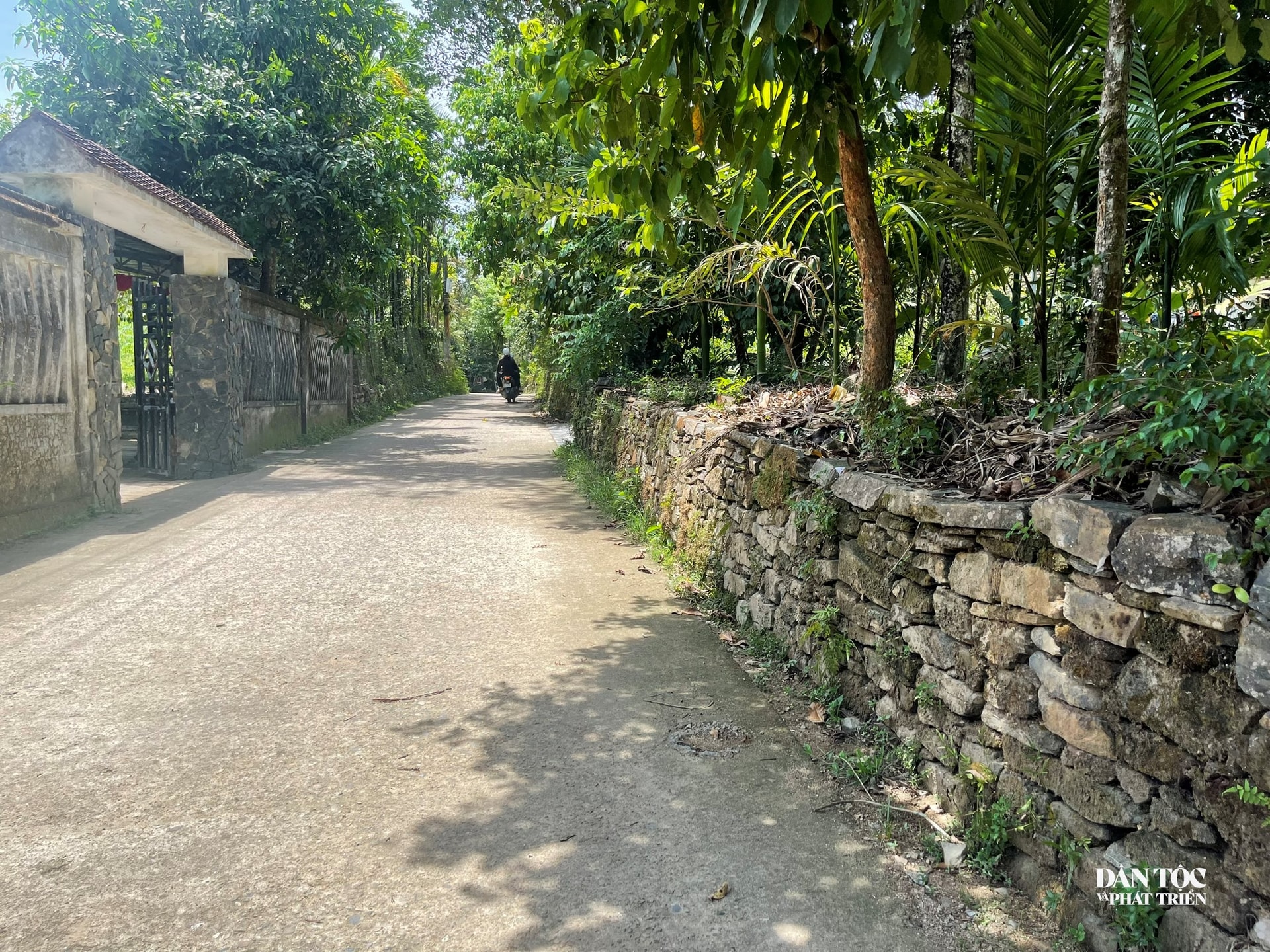 langcolocyen11.jpg
