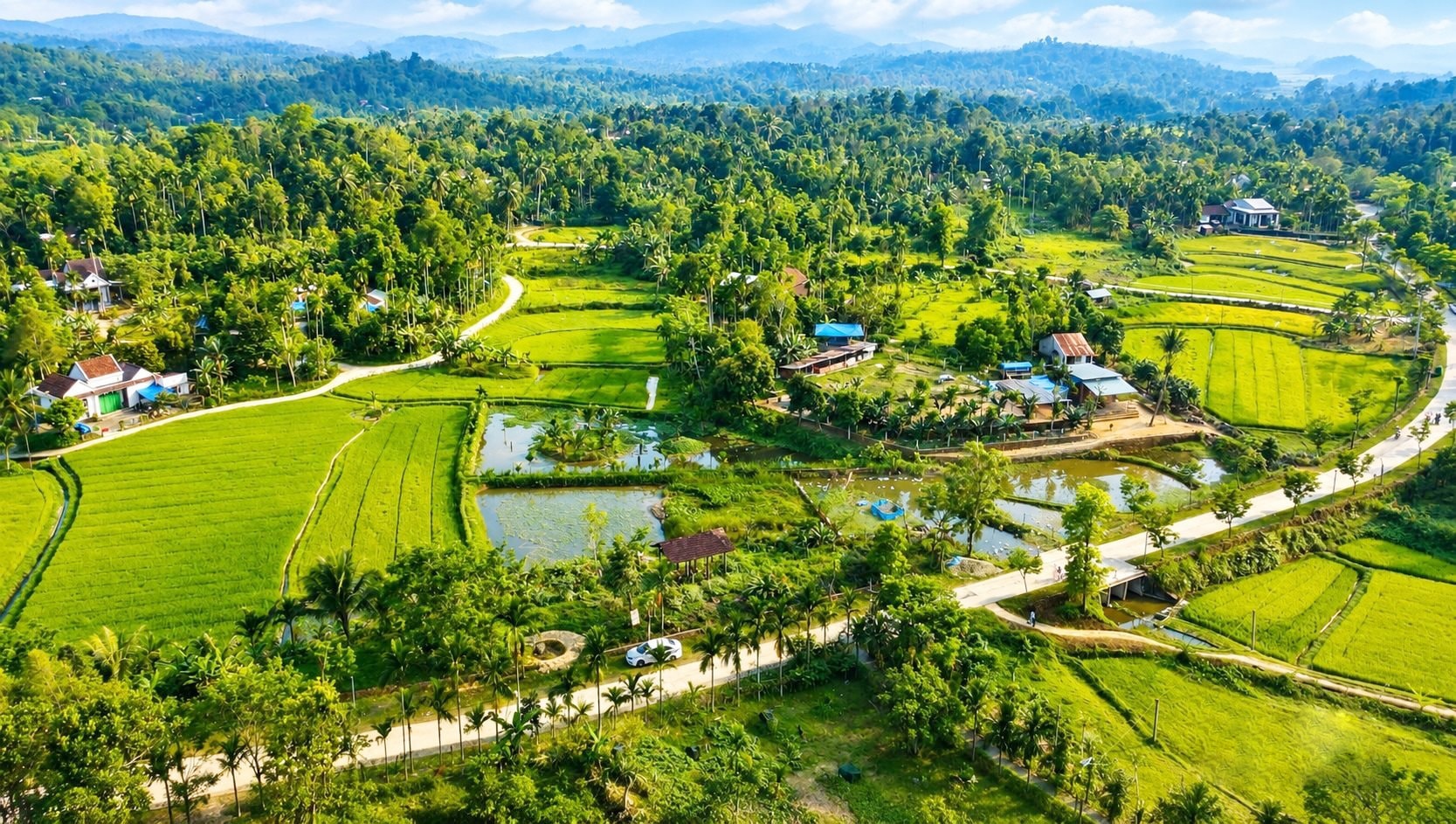 Làng cổ đẹp như tranh vẽ giữa lòng miền Trung 