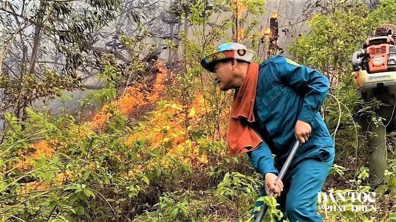 hàng chục vụ cháy rừng mỗi năm