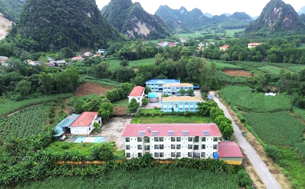 Ban Chỉ đạo