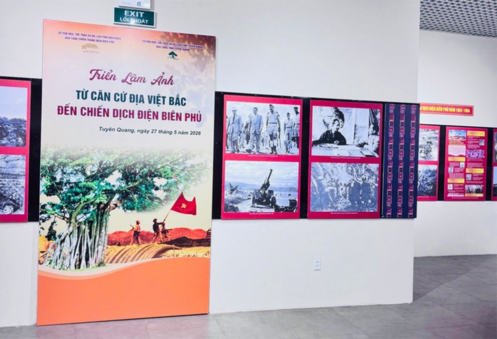 Triển lãm 2