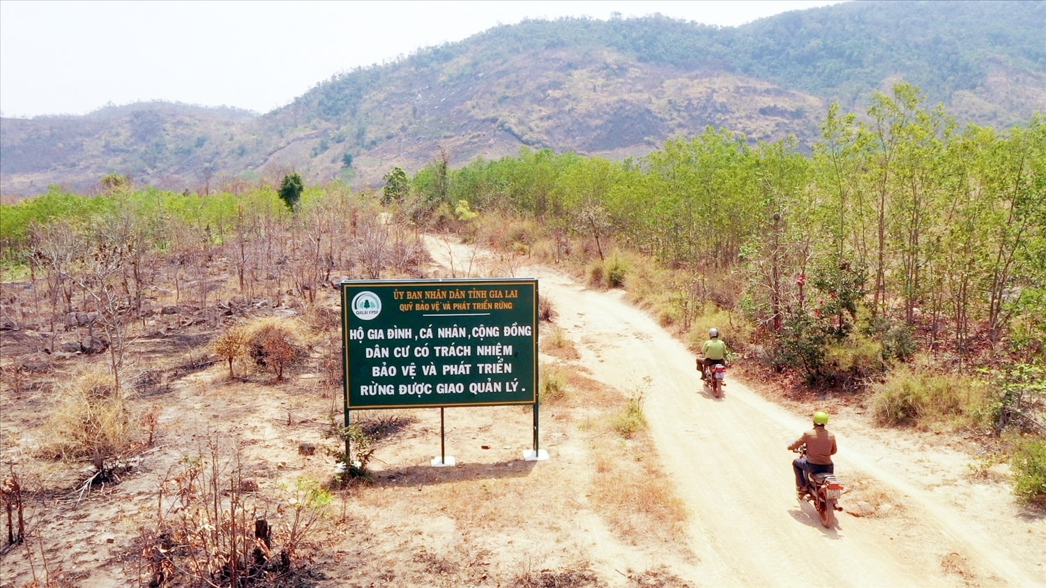 Rừng giáp ranh tại Gia Lai, Đắk Lắk trở thành 'miếng mồi ngon' của lâm tặc