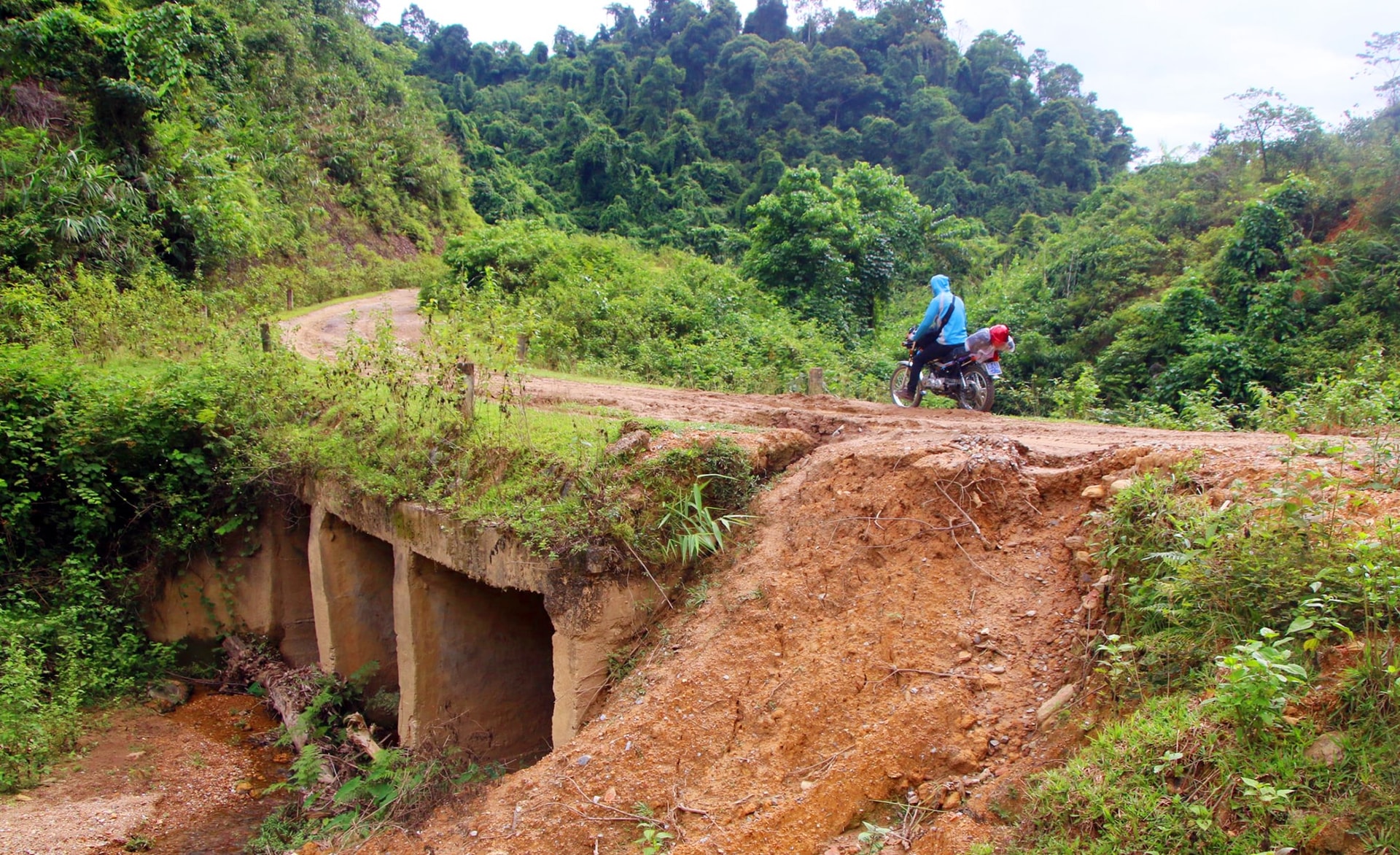 Những con sóng 33