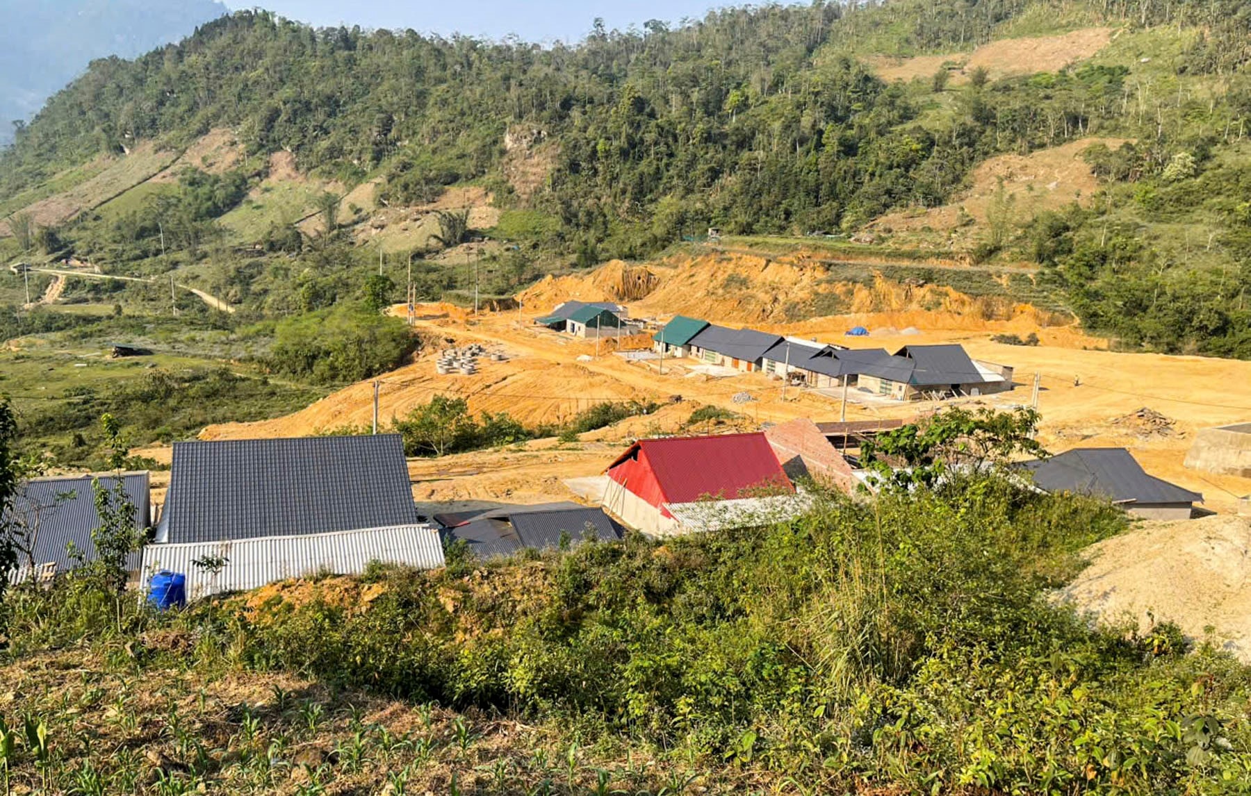 thành lập Văn phòng điều phối