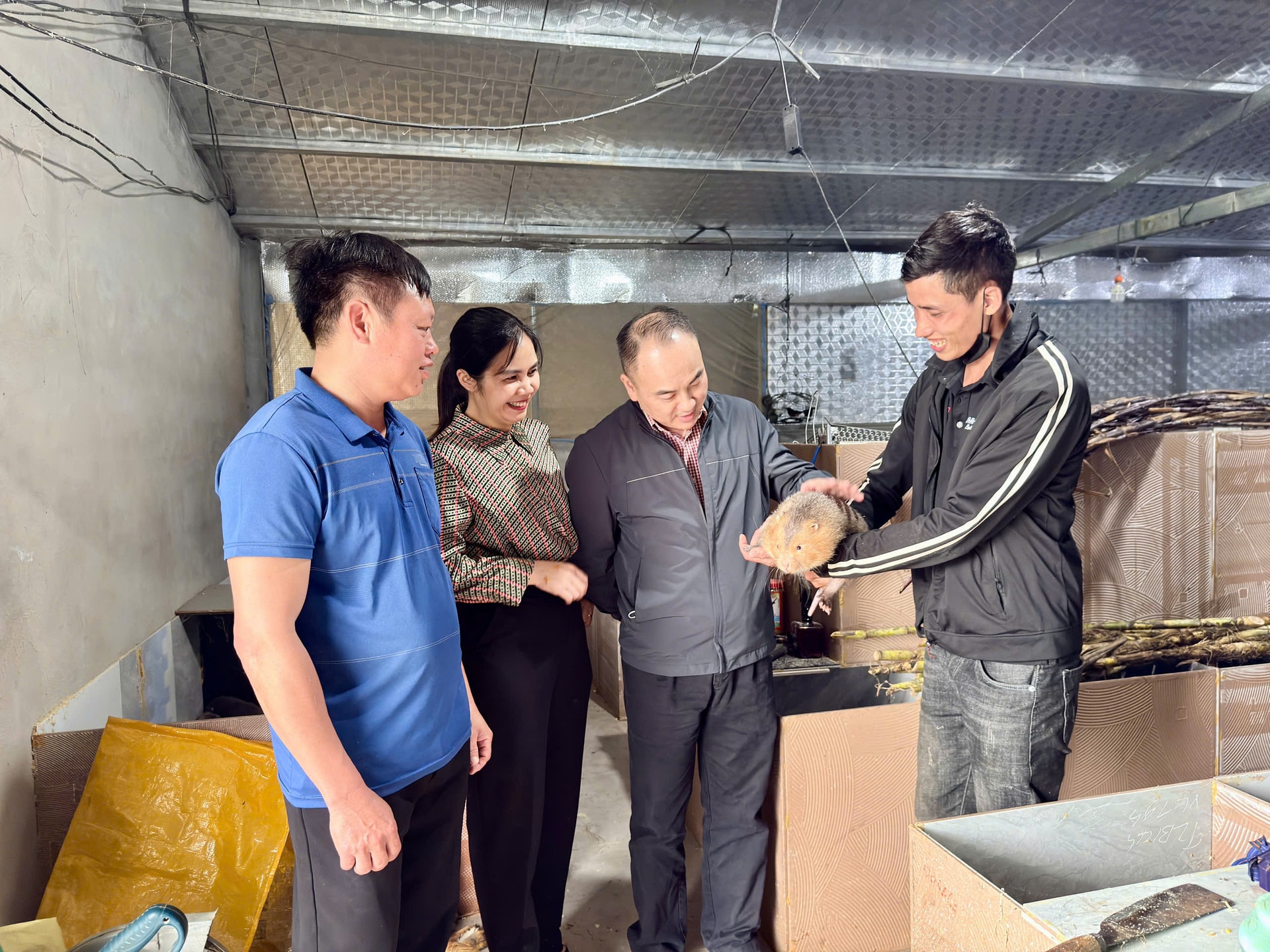 Những con sóng 12
