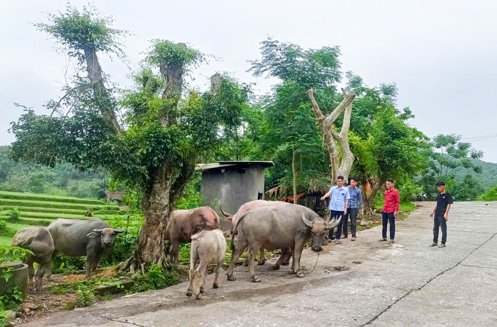 Tuyên Quang xây dựng nông thôn mới theo hướng hiện đại, bền vững 