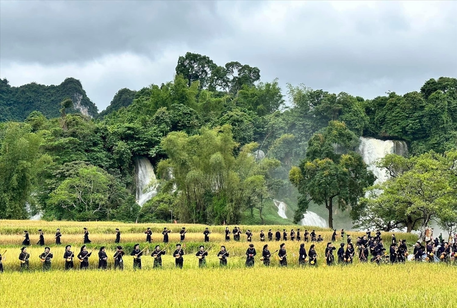 Khơi thông nguồn lực D