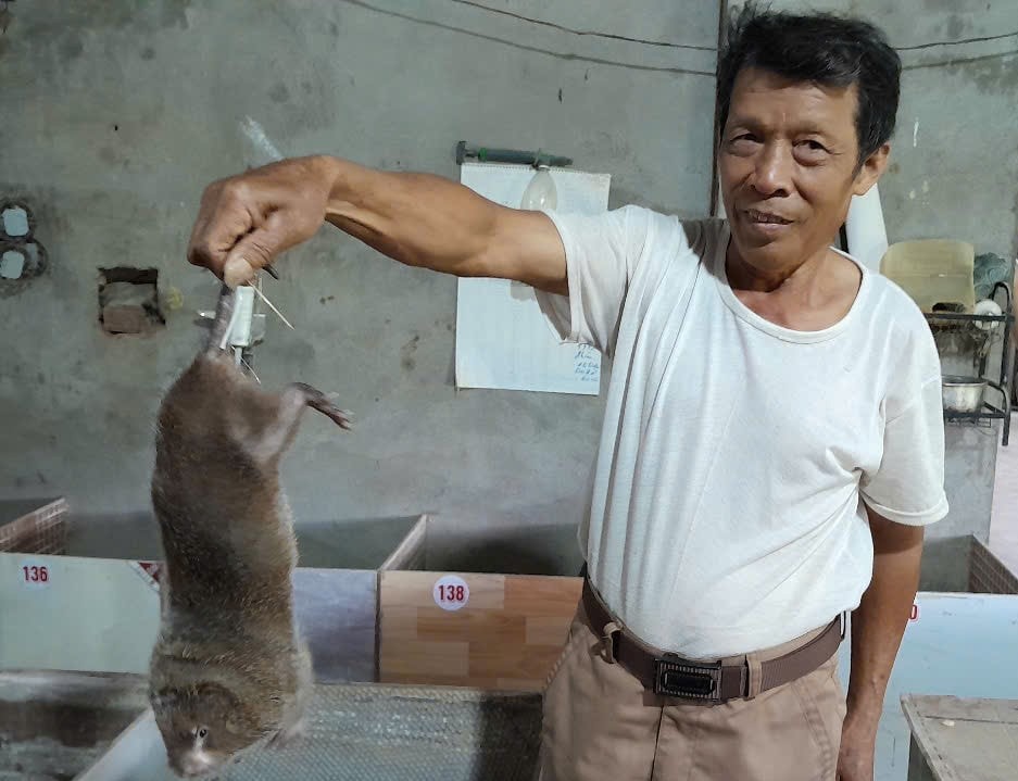 Mô hình nuôi dúi của ông ông Hồ Sỹ Thùy vốn ít mà hiệu quả cao