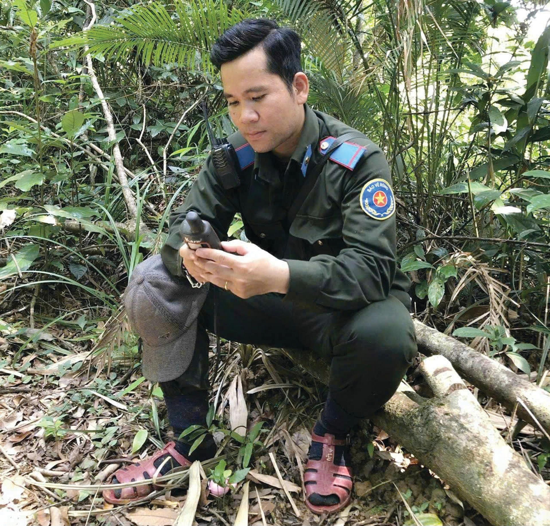 anh 3t49