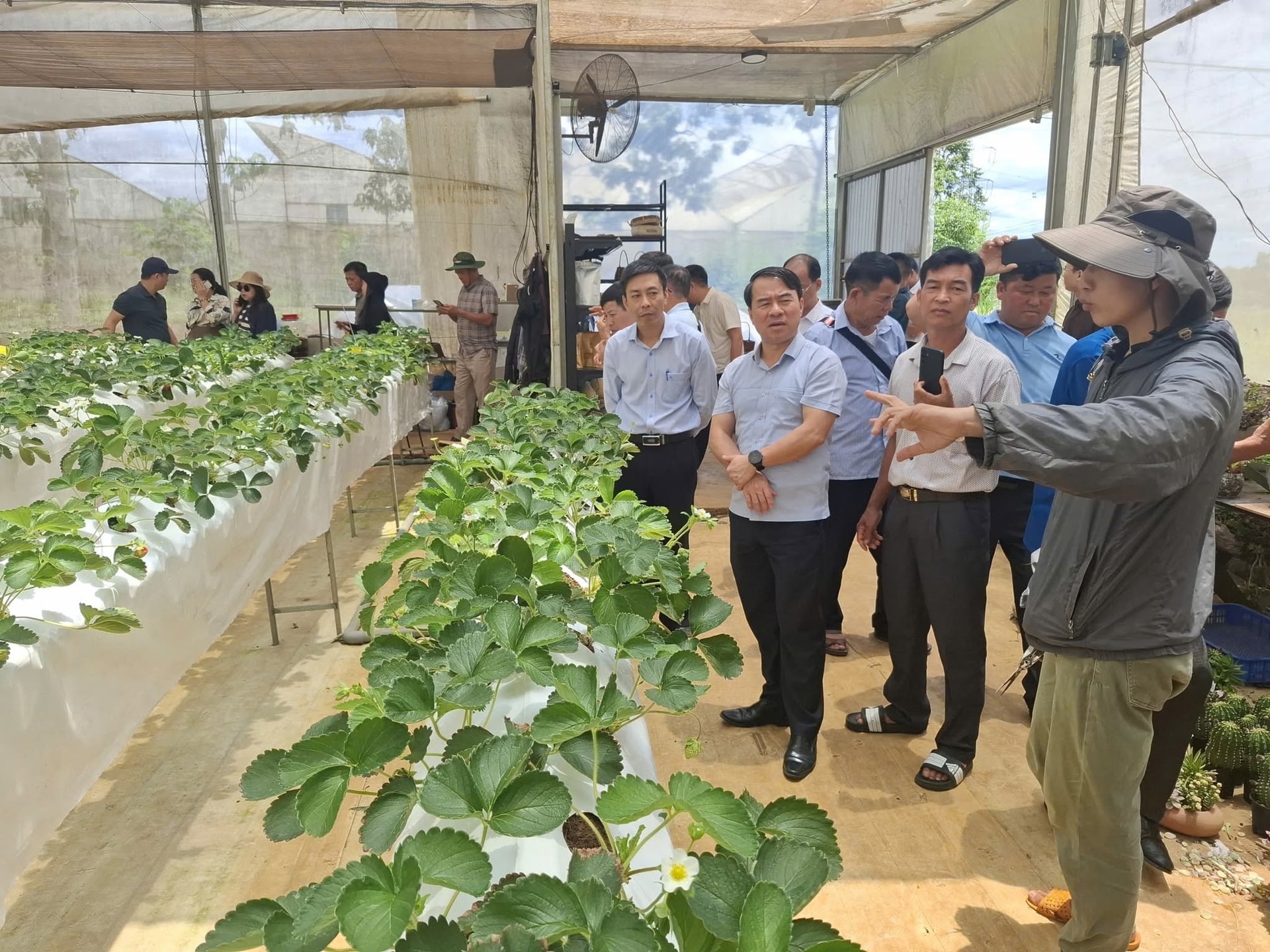 Ghi nhận về đội ngũ những Người có uy tín ở Tuyên Quang 