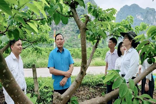 Học tập, trao đổi kinh nghiệm thực hiện hợp phần hai chương trình MTQG 