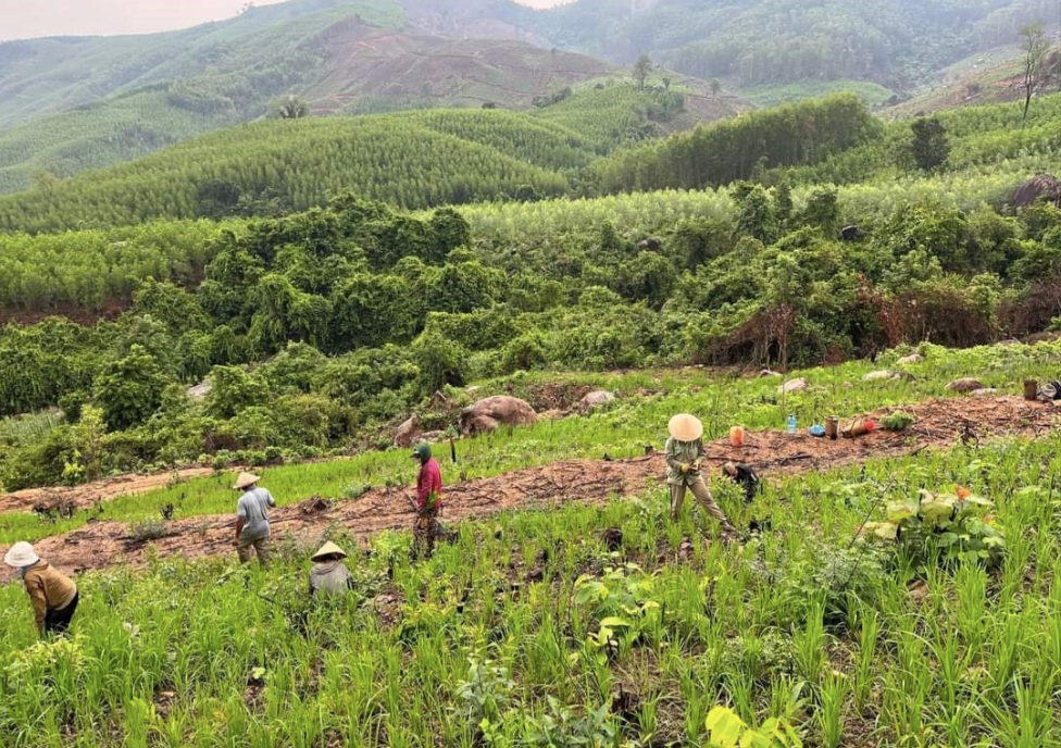Đất sản xuất