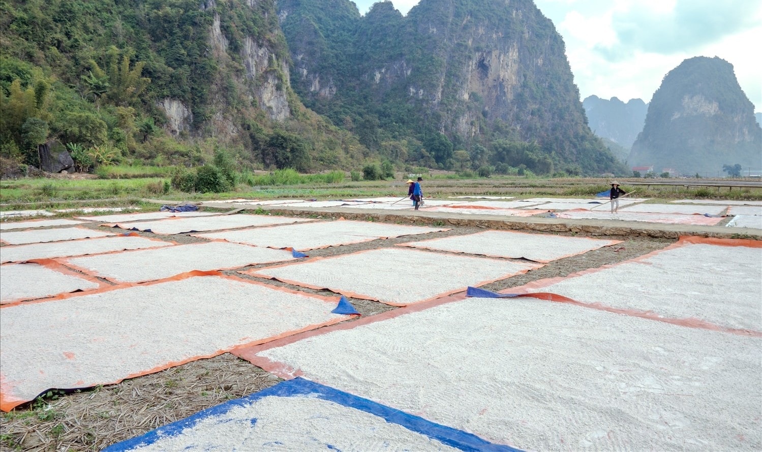 Làng nghề truyền thống 6