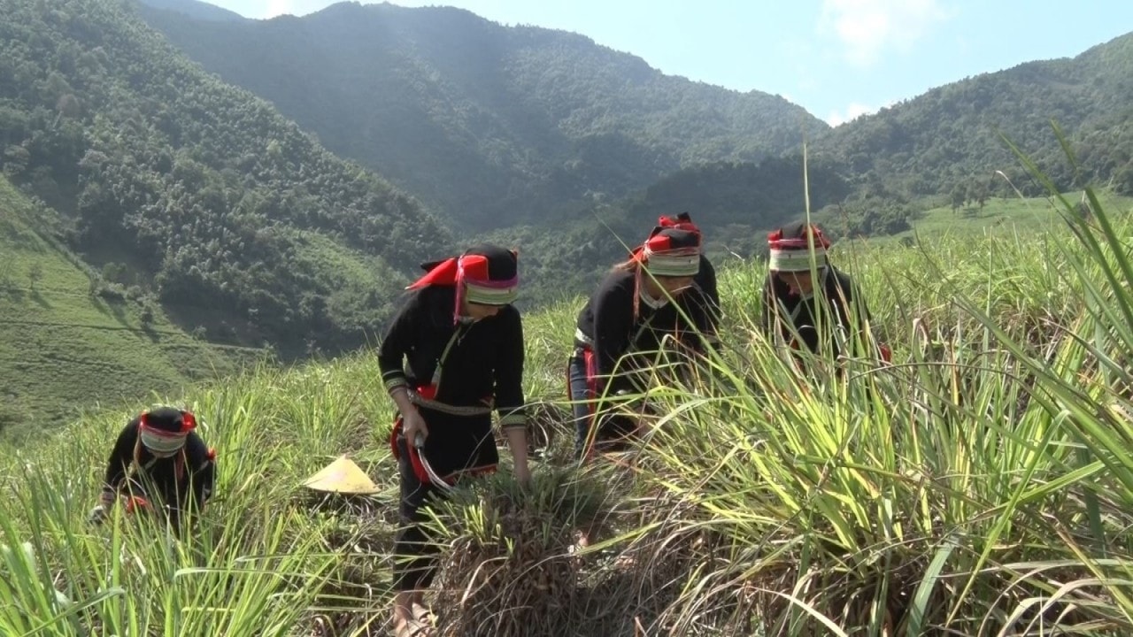 AMH Cao Bang
