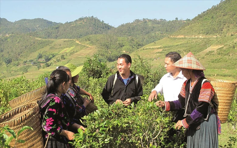 Kết luận số 01 của Đoàn Chủ tịch Ủy ban Trung ương MTTQ Việt Nam đề ra nhiệm vụ tập hợp đoàn viên, hội viên vùng đồng bào DTTS tham gia xây dựng và hoàn thiện các chủ trương, chính sách về dân tộc và công tác dân tộc, góp phần xây dựng khối đại đoàn kết toàn dân tộc và phát triển bền vững vùng đồng bào DTTS và miền núi (Ảnh TL)