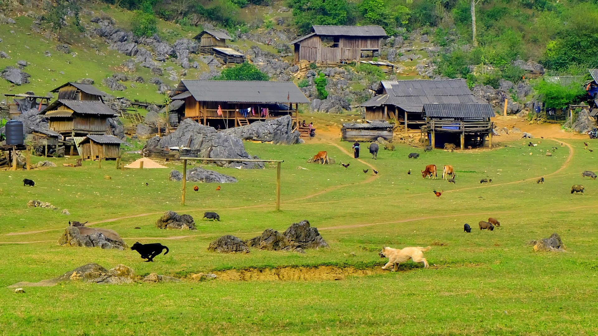 Làng 3 không nơi cao nguyên Mộc Châu (Ảnh St)
