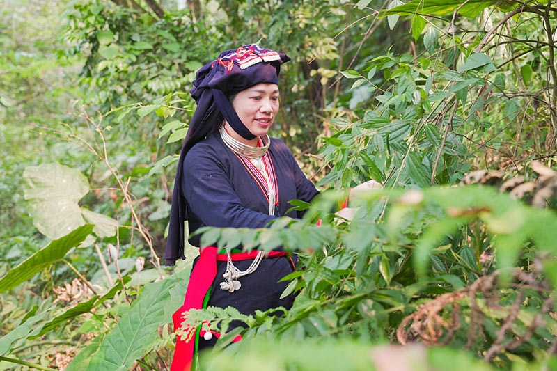 Hà Nội 4