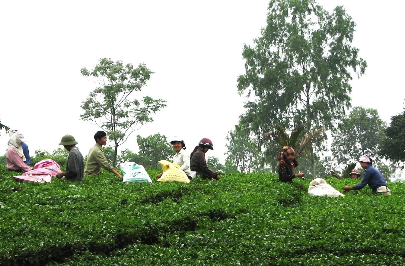 Hà Nội