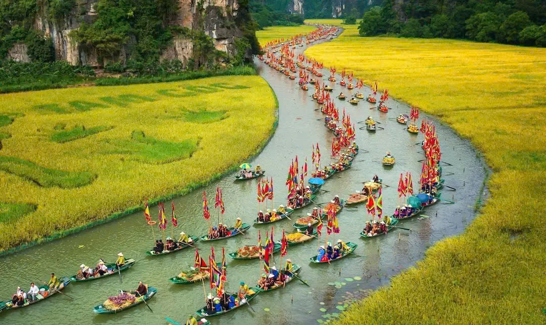 Tam Cốc mùa lúa chín (Jlbt.vn)