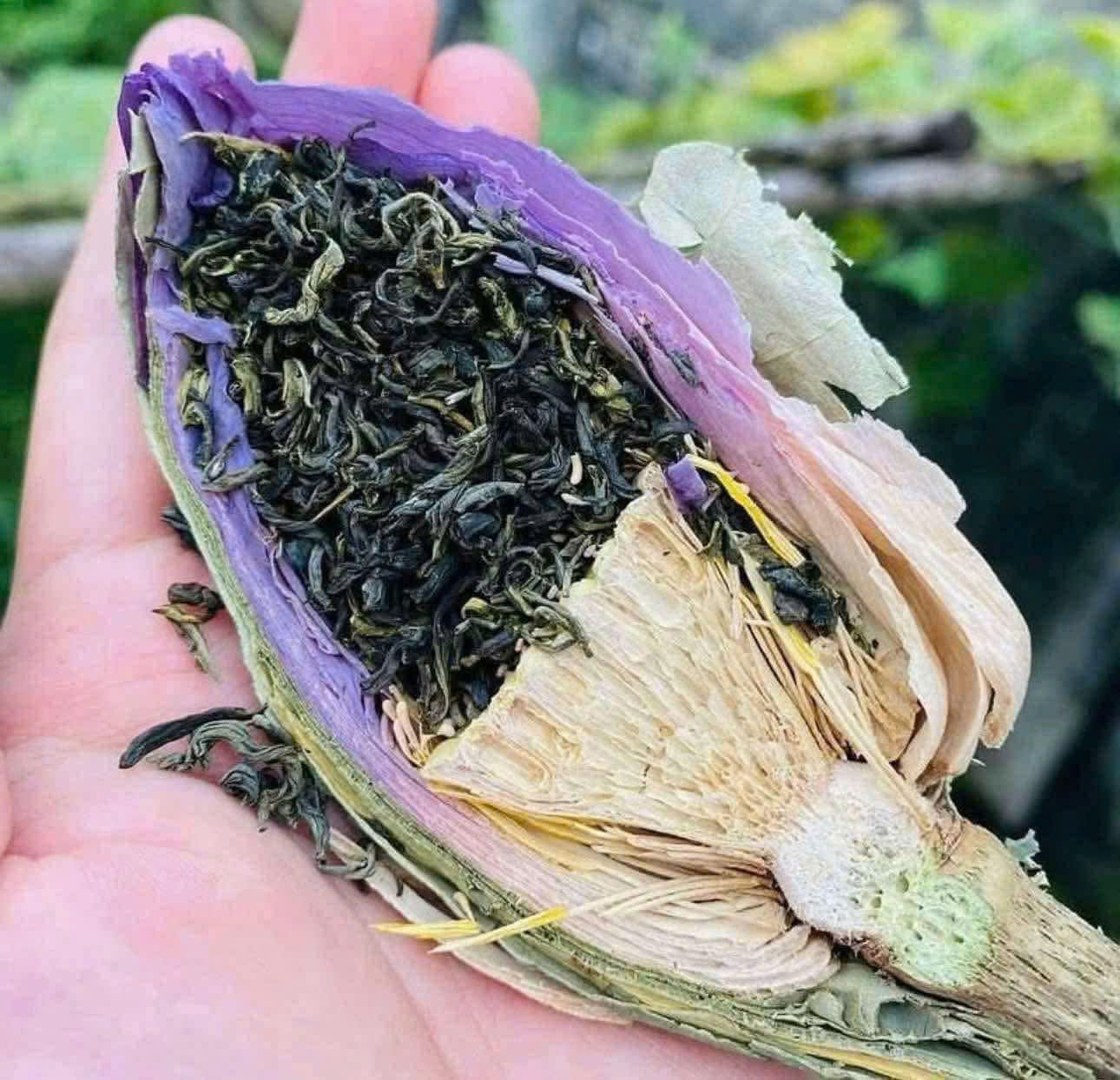 Trà sen Tây Hồ (Ảnh Đức Trí)