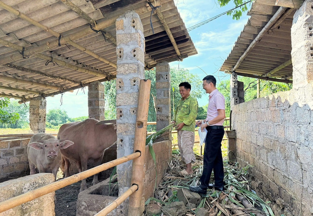 Tân Lạc