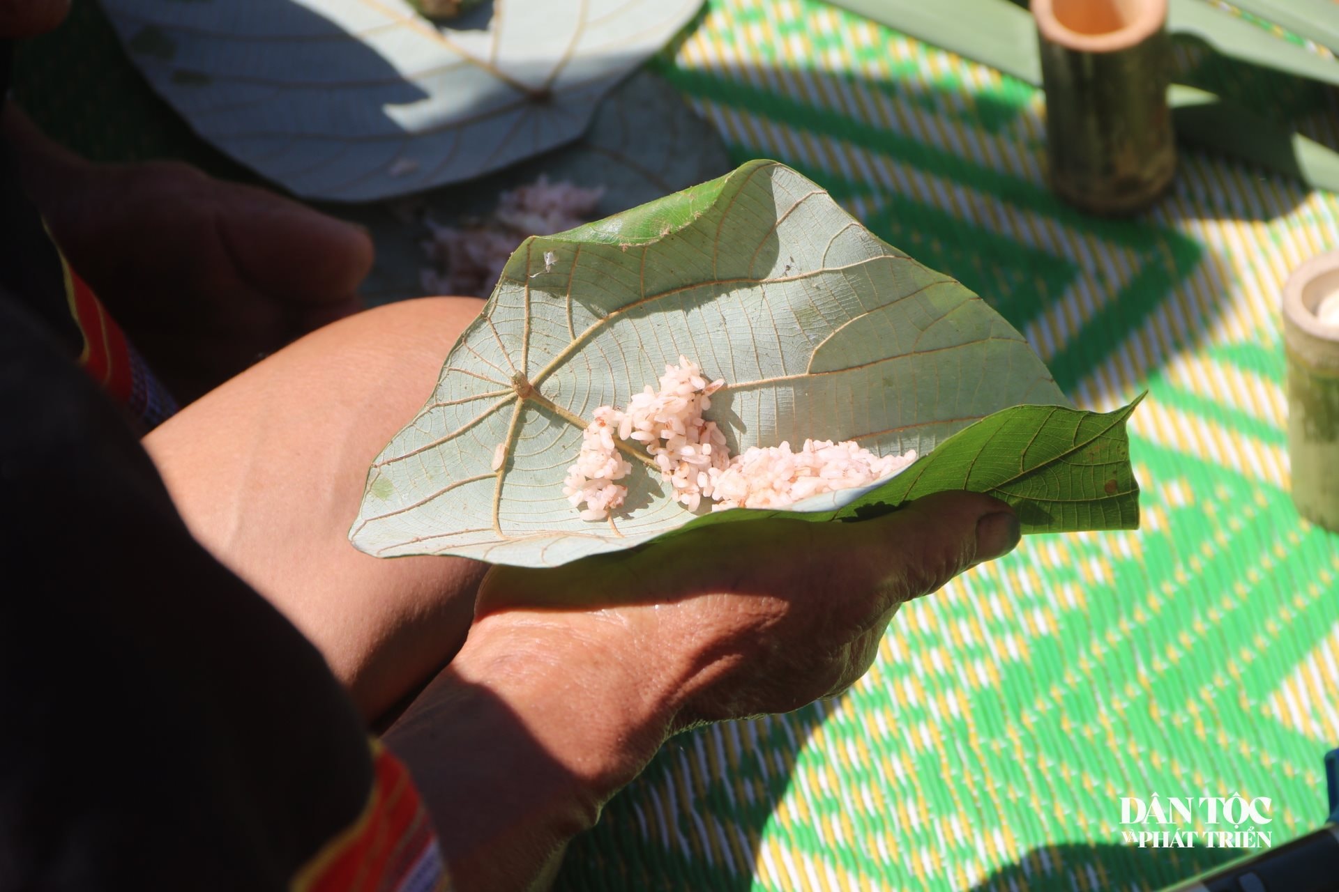 cungmung5-2.jpg