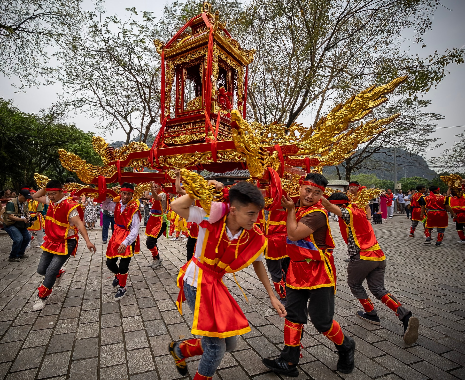Shehan Trek_resize. Nhiếp ảnh gia Shehan Trek ghi lại lễ rước kiệu trong lễ hội Hoa Lư tái hiện nghi lễ trang trọng