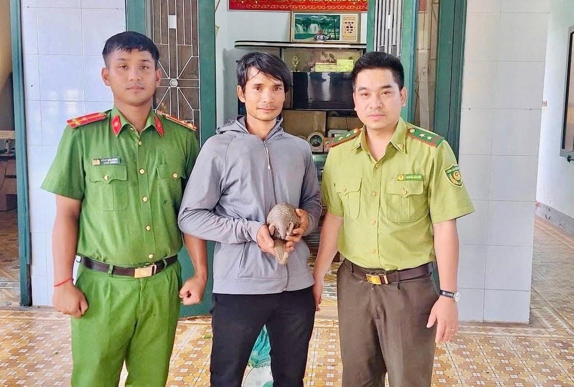 anh 20