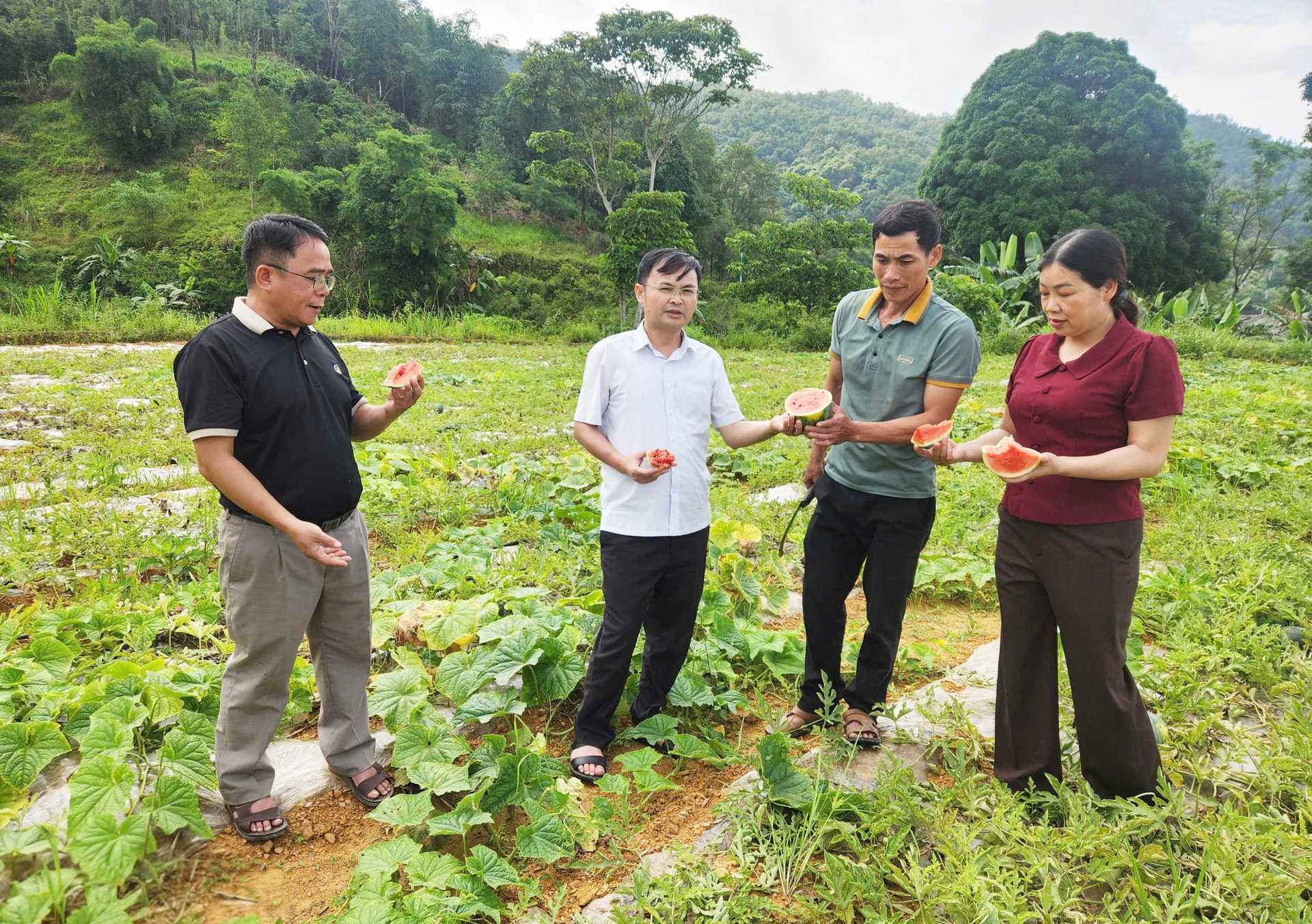 Lãnh đạo xã Tát Ngà kiểm tra cánh đồng dưa hấu của nông dân thôn Vị Ke.