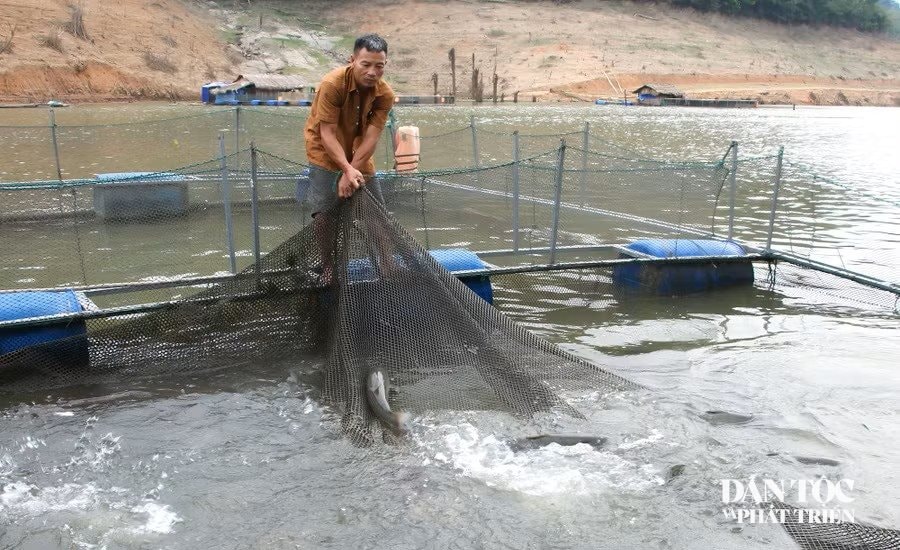 Mô hình ở Thông Thụ 1